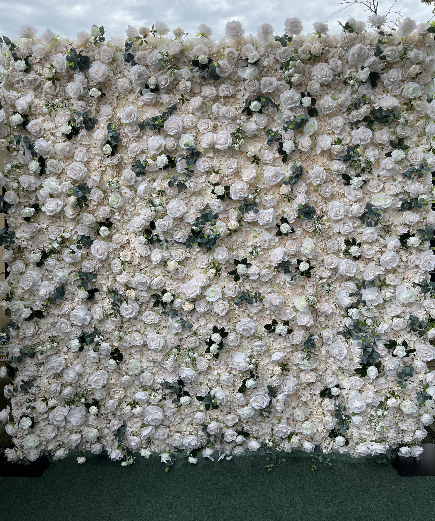 Blush Cream Premium Rose Flower Wall in Dubuque, Iowa & Surrounding Areas