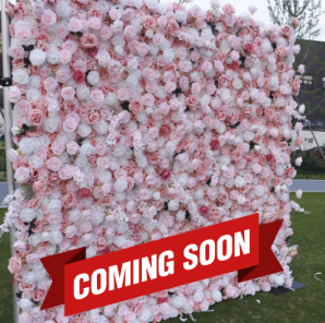 Light Pink with a Hint of Black Wild Rose Premium Flower Wall